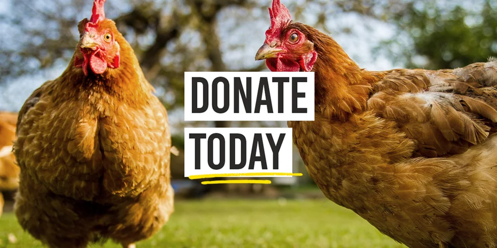 Donate today
