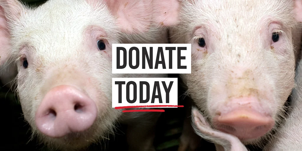 Donate today