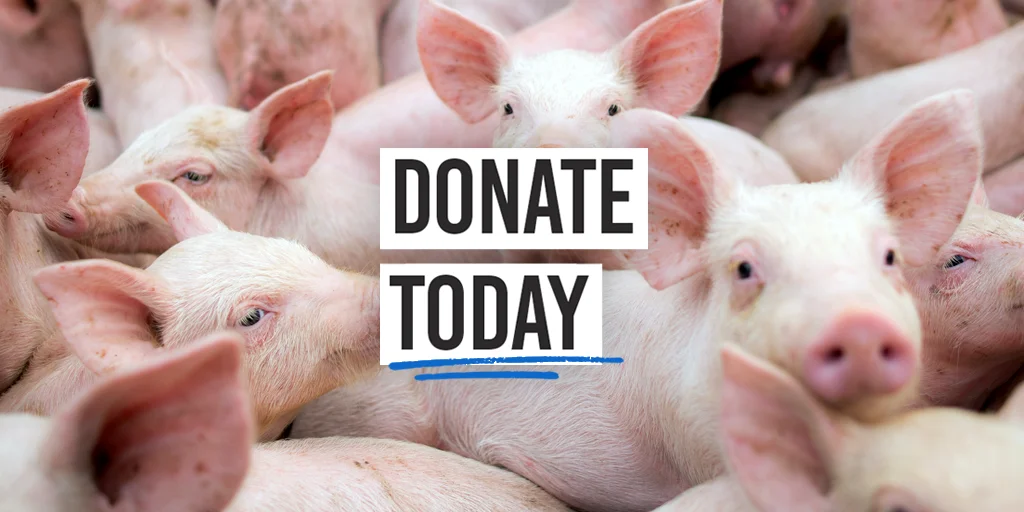 Donate today