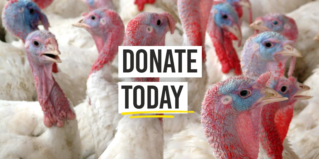 Donate today