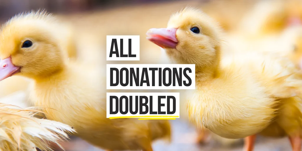 All donations DOUBLED