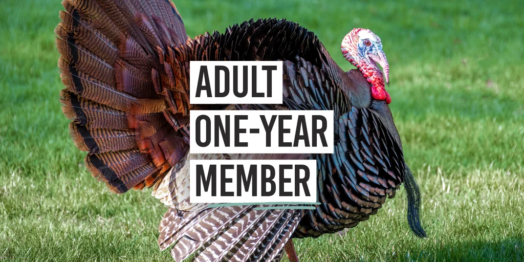 Adult One-Year Member
