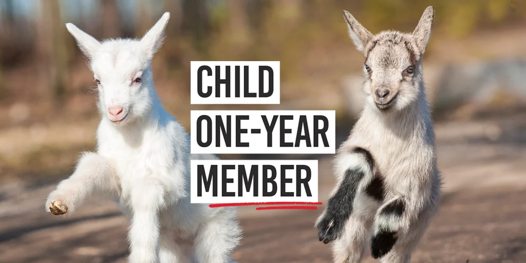 Child One-Year Member