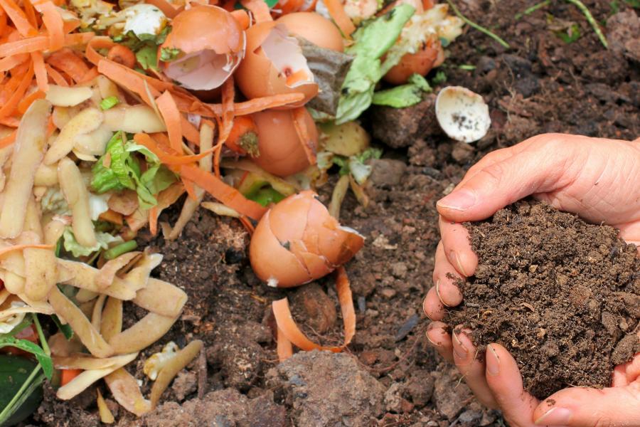 Image of compost