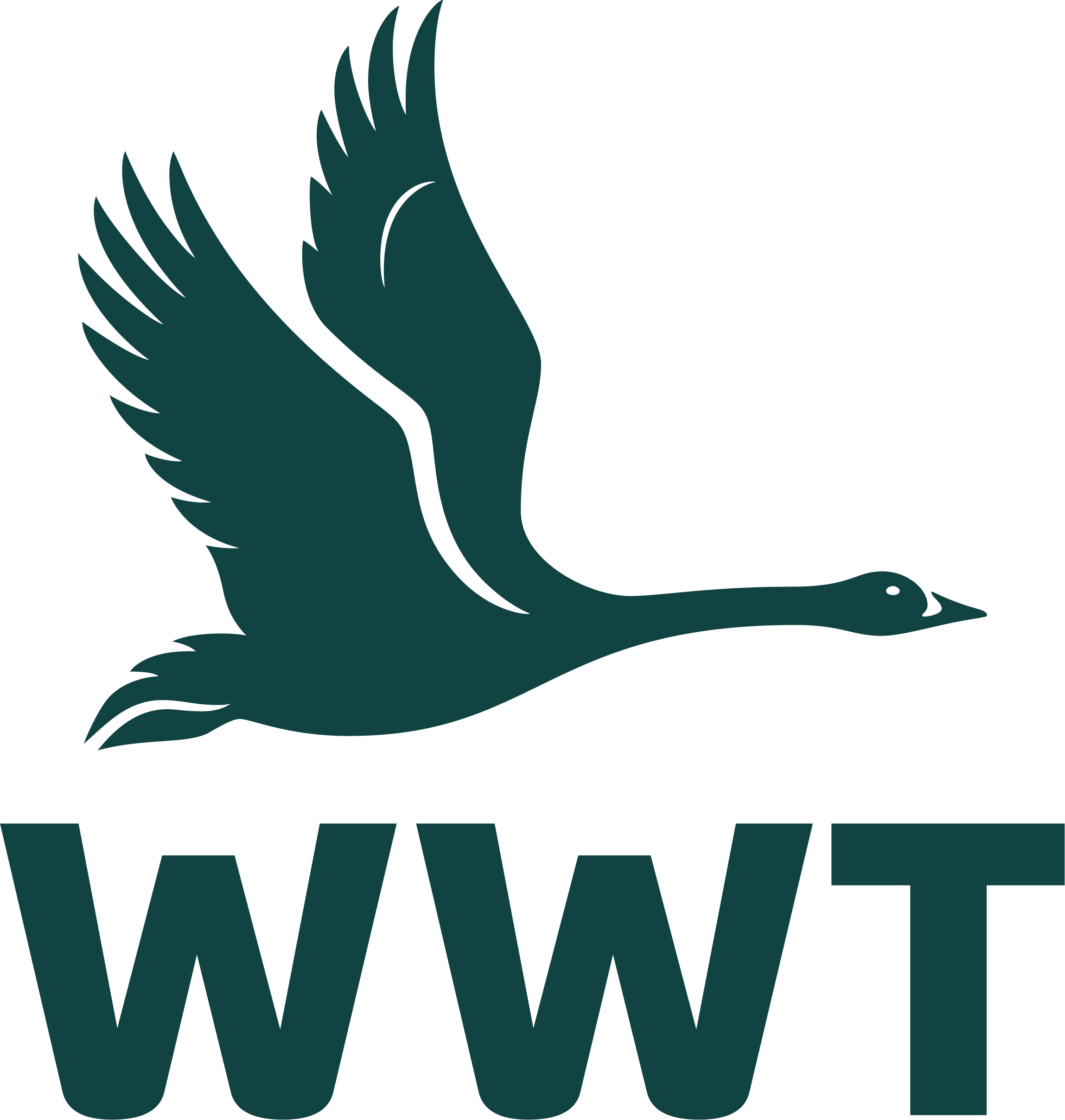 WWT