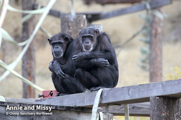 CSNW Sanctuary Moment