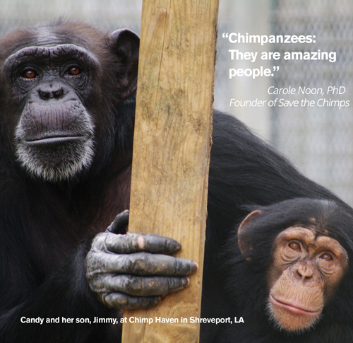 Candy and her son, Jimmy at Chimp Haven