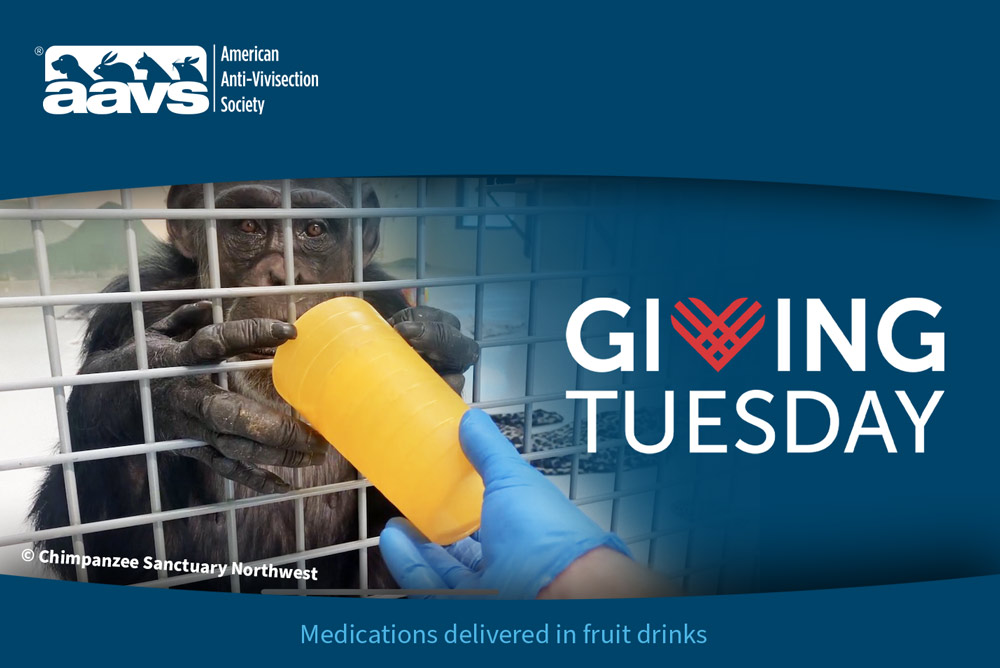 Giving Tuesday 2024 | Medications delivered in fruit drinks