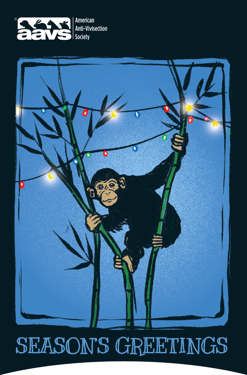 Chimp climbing bamboo with holiday lights with text Season's Greetings