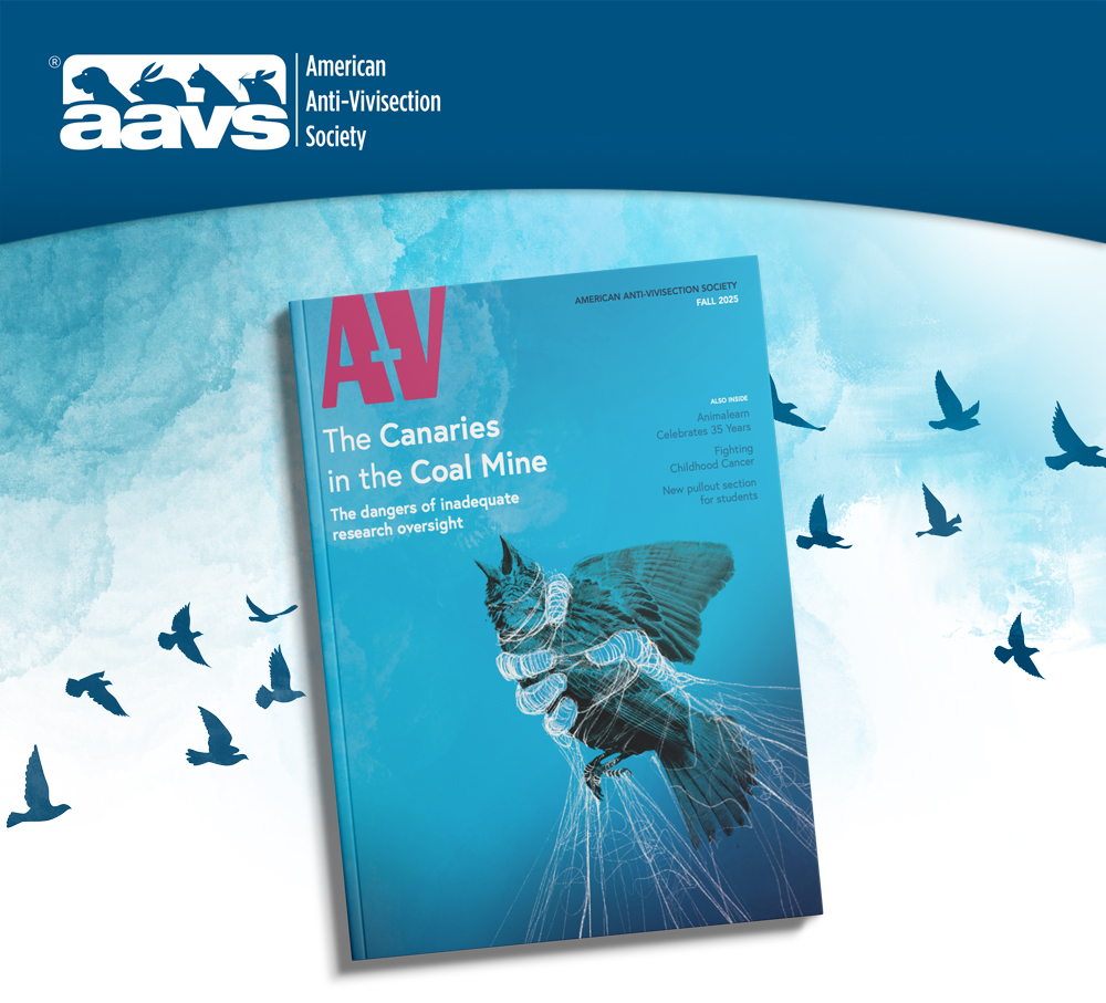 The Canaries in the Coal Mine A-V magazine cover