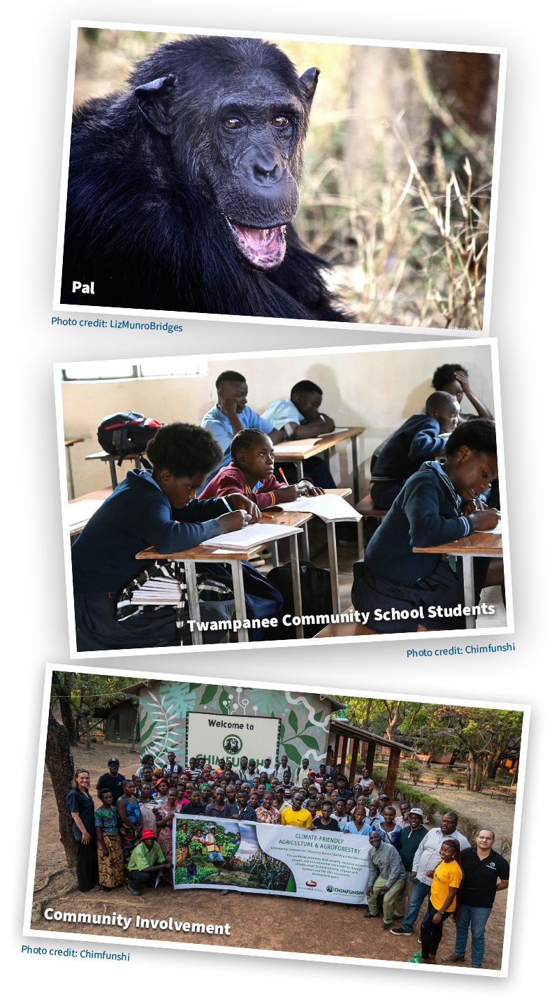 Pal by LizMunroBridges; Twampanee Community School Students by Chimfunshi; Community involvement by Chimfunshi