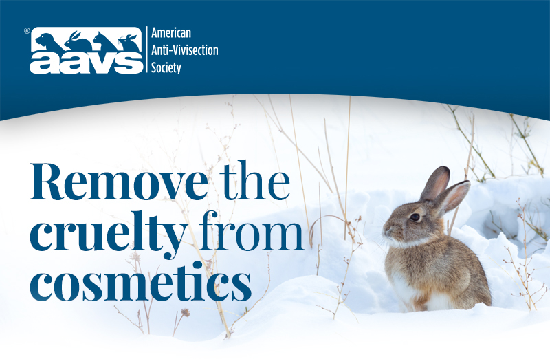 Beagle with text Remove the cruelty from cosmetics  | Adobe Stock © Stracey