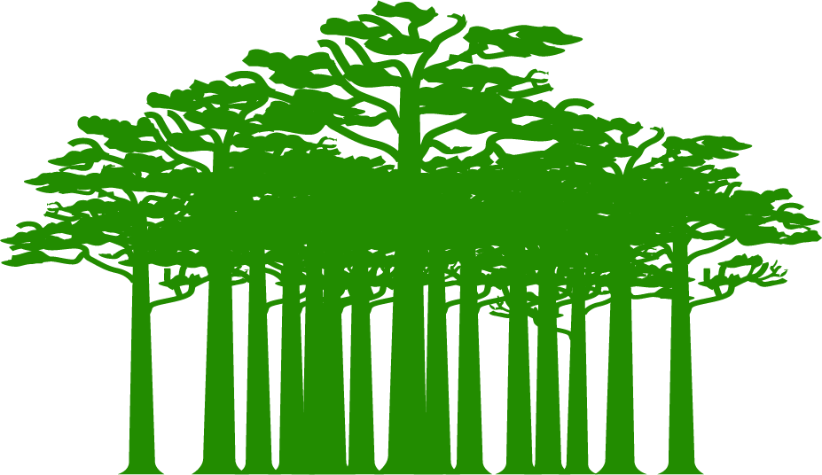 Group of trees