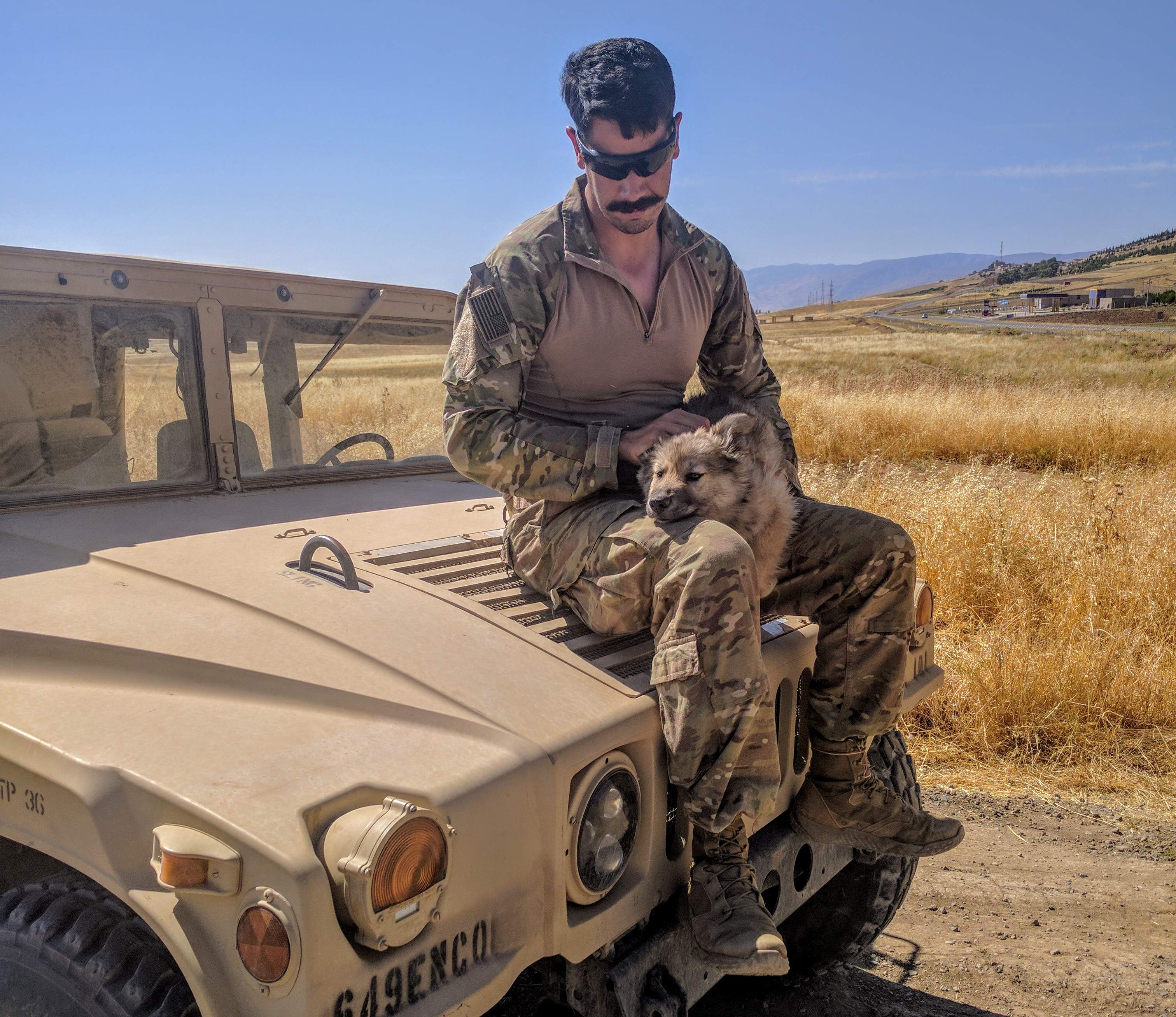 Photo of soldier and dog