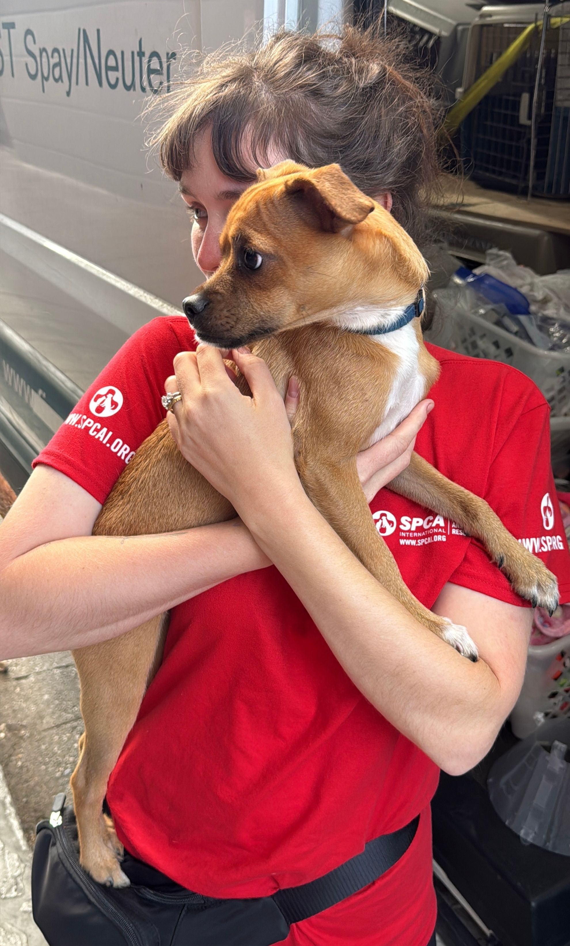 Photo of staff and dog