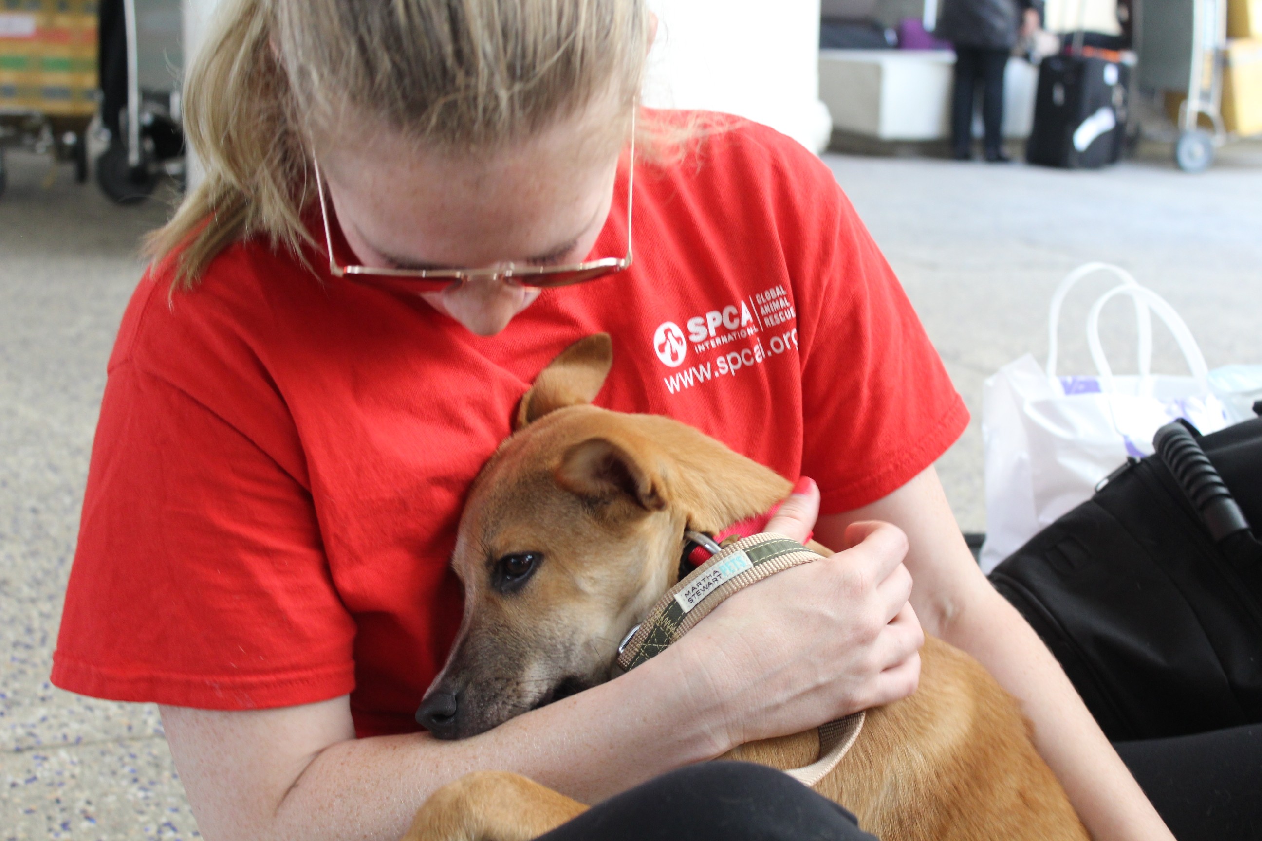 Photo of staff with dog