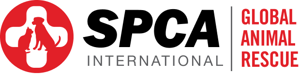SPCA International Global Animal Rescue