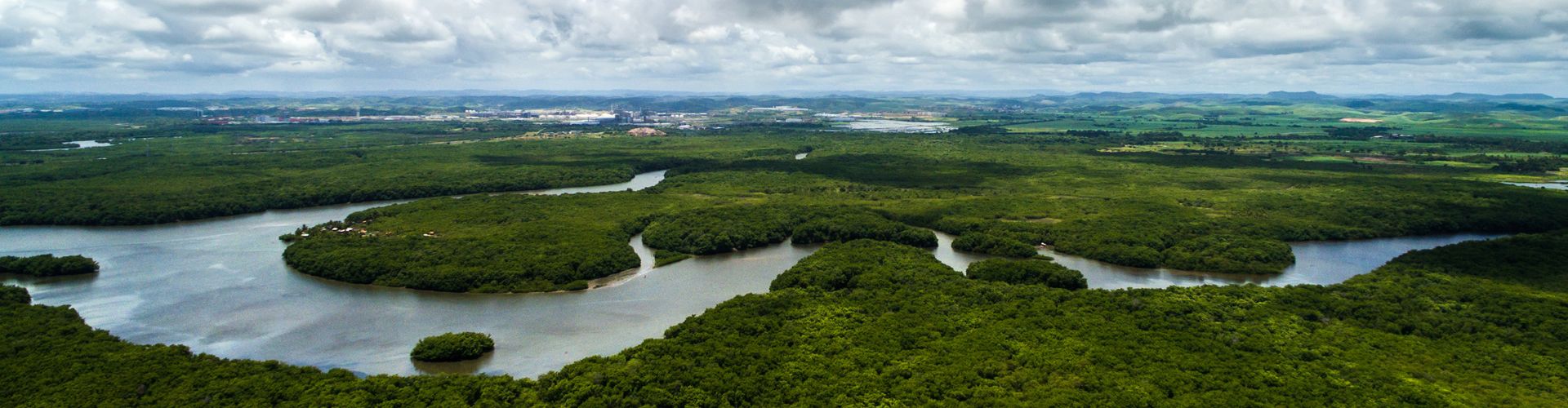 amazon forest brazil