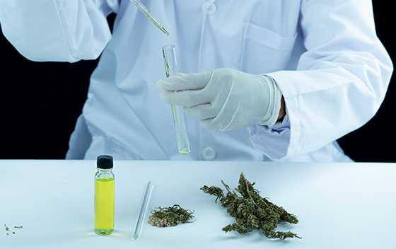 Medical Cannabis