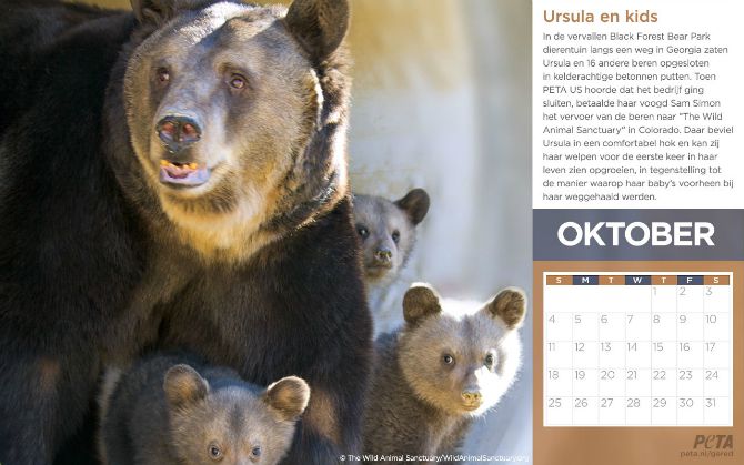 Kalender