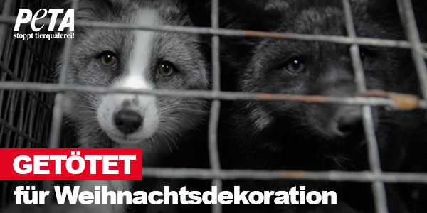 Getötet für Weihnachtsdekoration