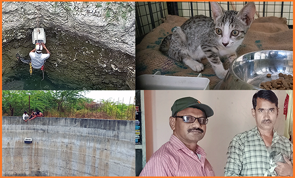 Fotocollage: Das Team lässt eine Transportbox in den tiefen Brunnen hinab (unten links); ein Mitarbeiter von Animal Rahat klettert zusammen mit dem Kätzchen nach oben (oben links); das Kätzchen neben einer Schale mit Katzennahrung in einer Außenstelle von Animal Rahat (oben rechts); das Kätzchen mit seiner neuen Familie (unten rechts).