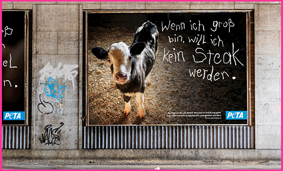 Mock-Ups der vier Plakatmotive