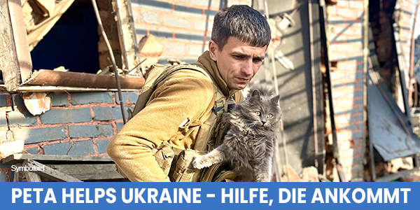 Ein Mitarbeiter von ANIMAL RESCUE KHARKIV mit einer geretteten Katze auf dem Arm. Beschriftung: PETA HELPS UKRAINE - HILFE, DIE ANKOMMT