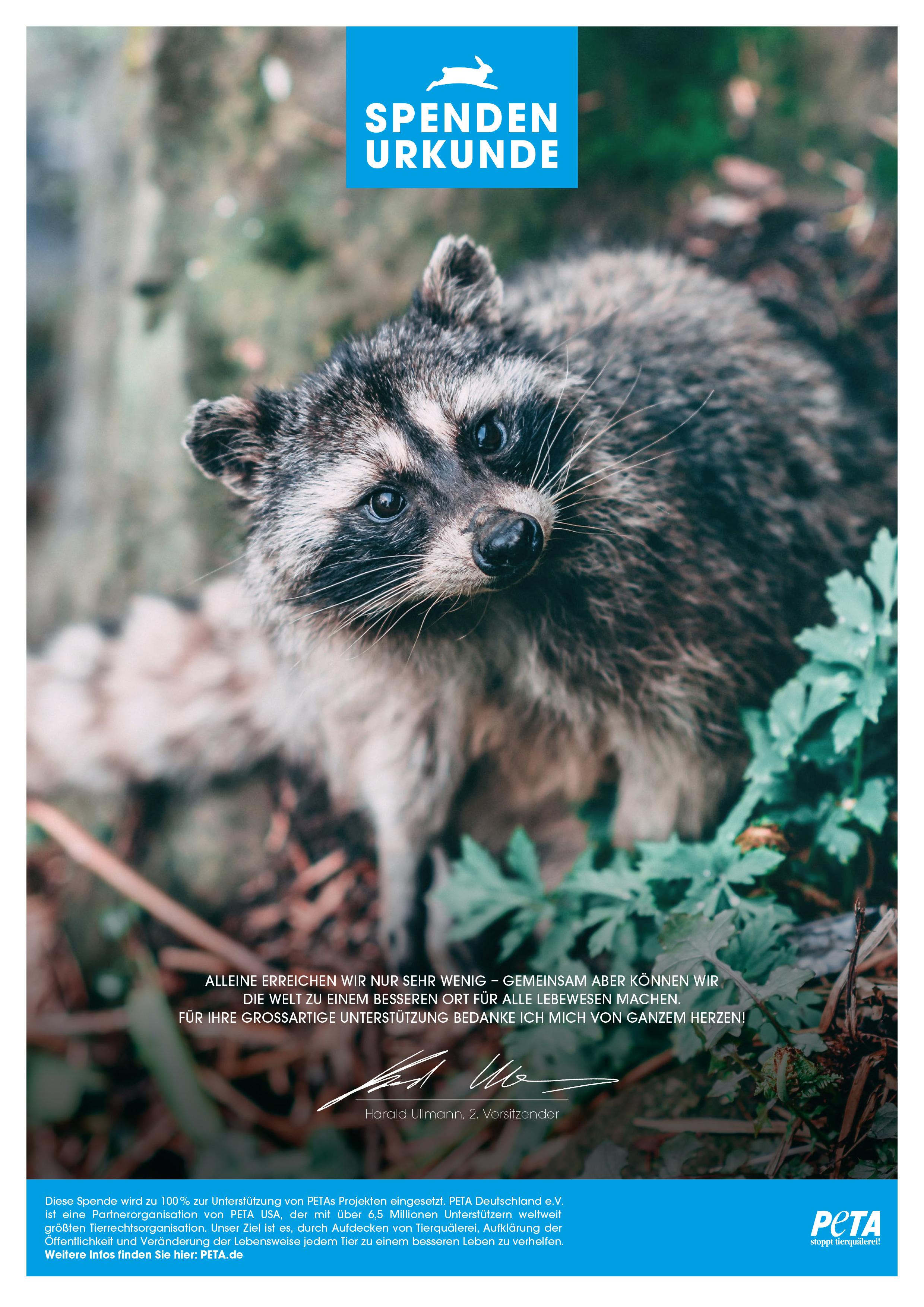 Verschenken Sie Ihre Spende Peta Deutschland E V