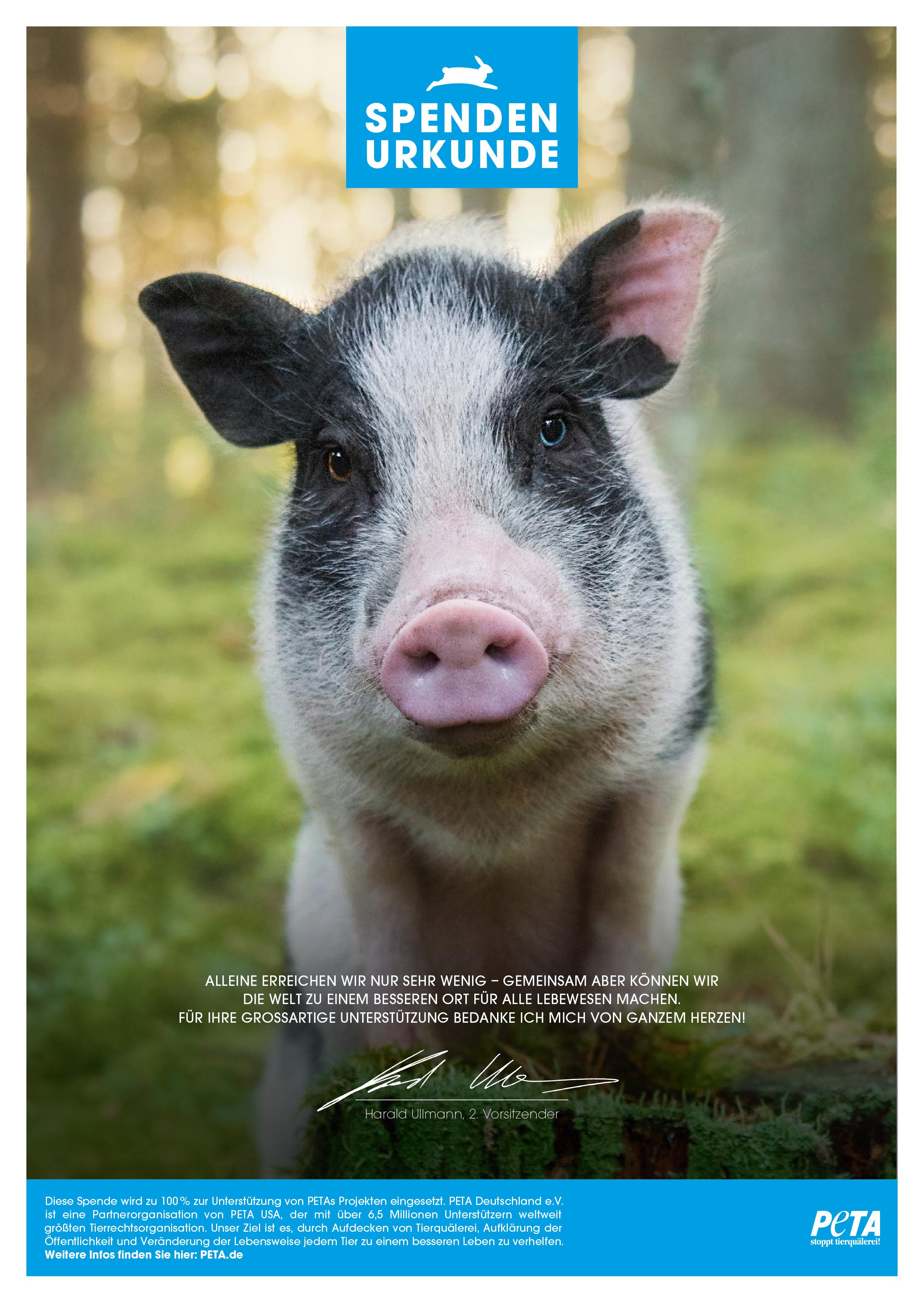 Verschenken Sie Ihre Spende Peta Deutschland E V