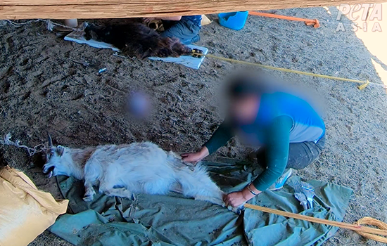 Faites un don dès maintenant