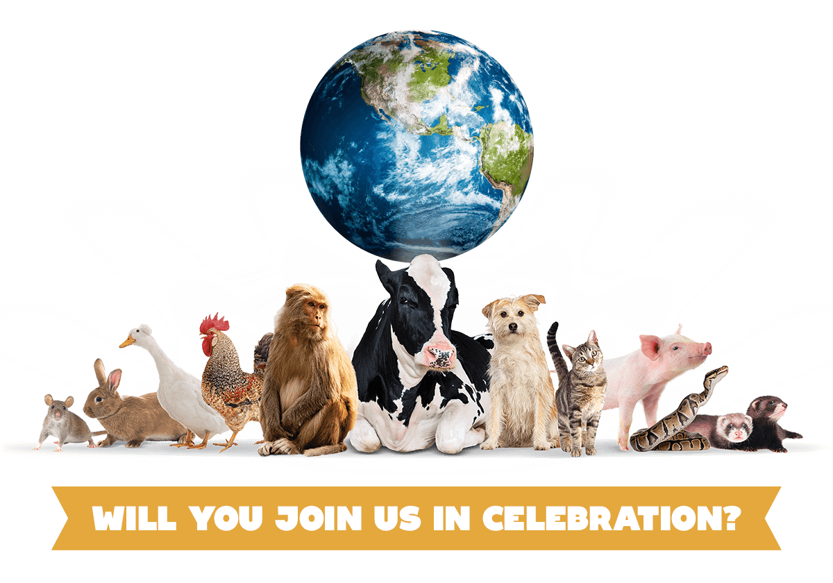 Will You Join Us in Celebration?