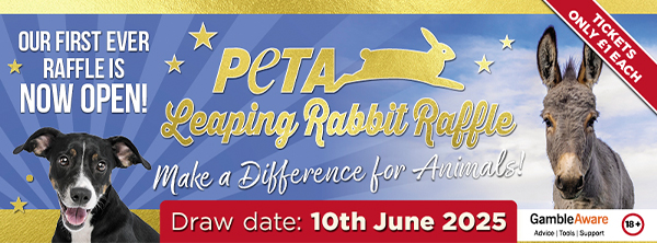 Peta Sign Only Rabbit PETA’s First Leaping Rabbit Raffle is Now Open
