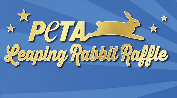 Peta Leaping Rabbit Raffle Make a Donation to PETA | People for the Ethical Treatment of Animals