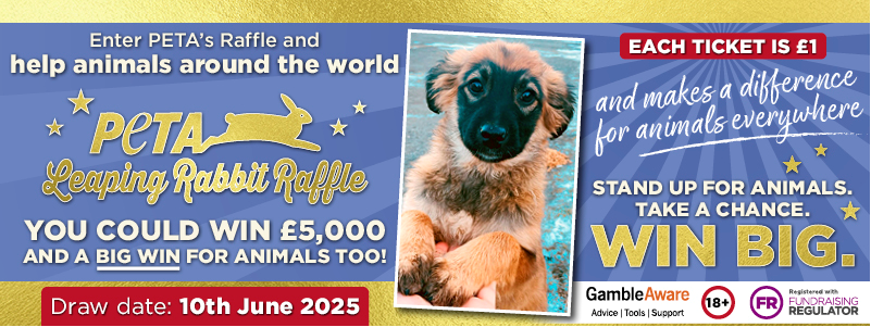 Peta Leaping Rabbit Raffle Enter PETA’s Leaping Rabbit Raffle TODAY and you could win £5,000