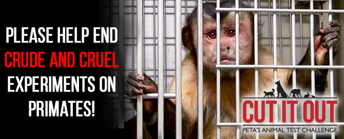 Please support PETA's and DOUBLE your impact!