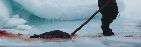 The air reeks of seals' blood and death …