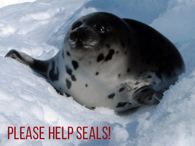 Please help seals!