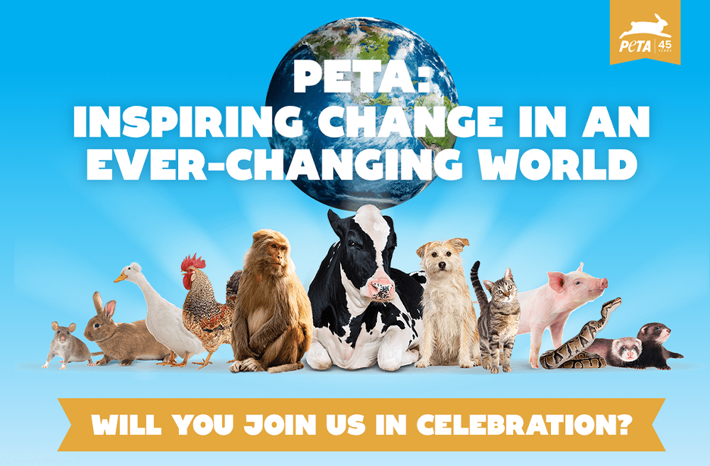 Will You Be Joining Us In Celebration?