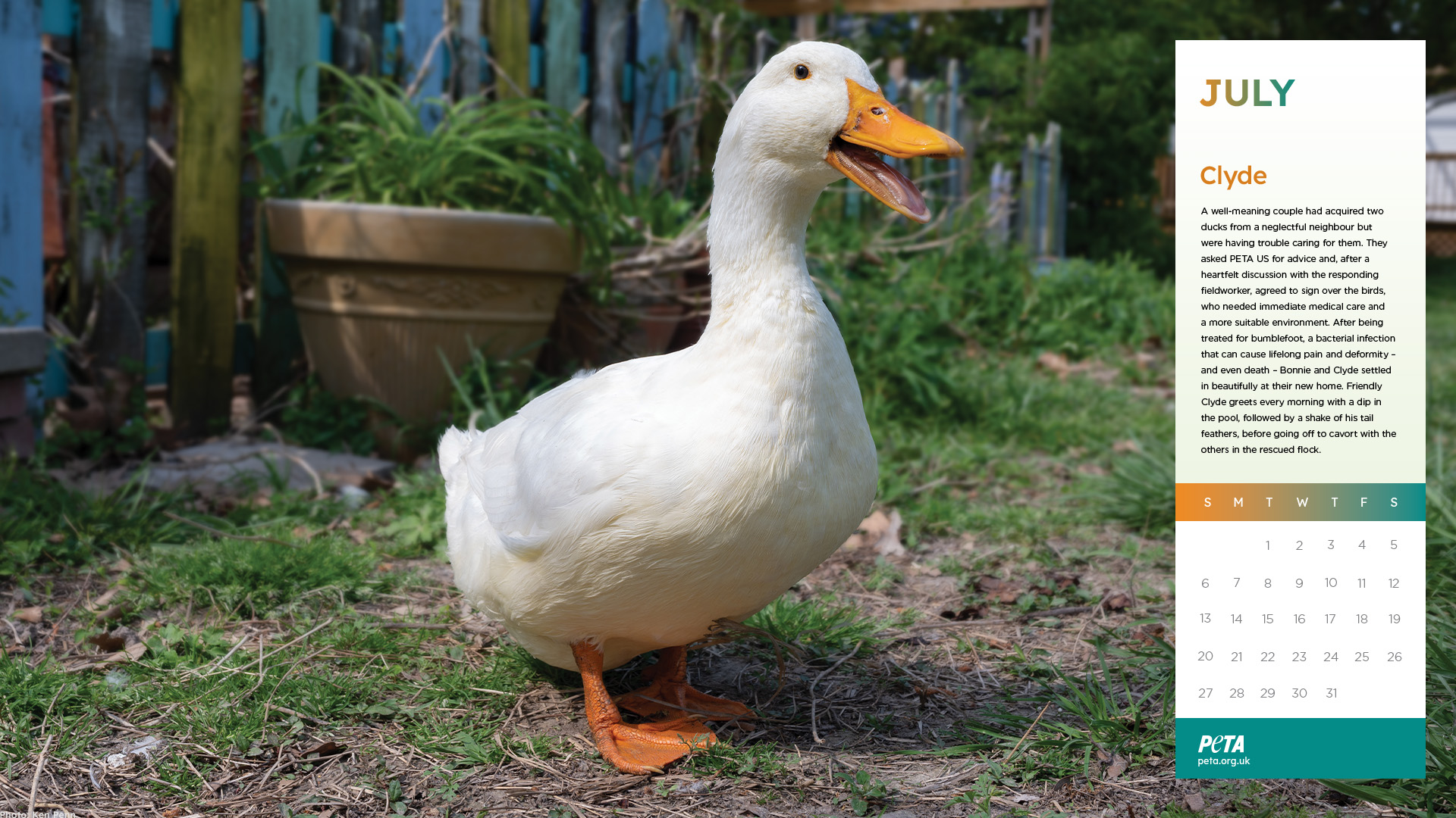 Clyde Clyde