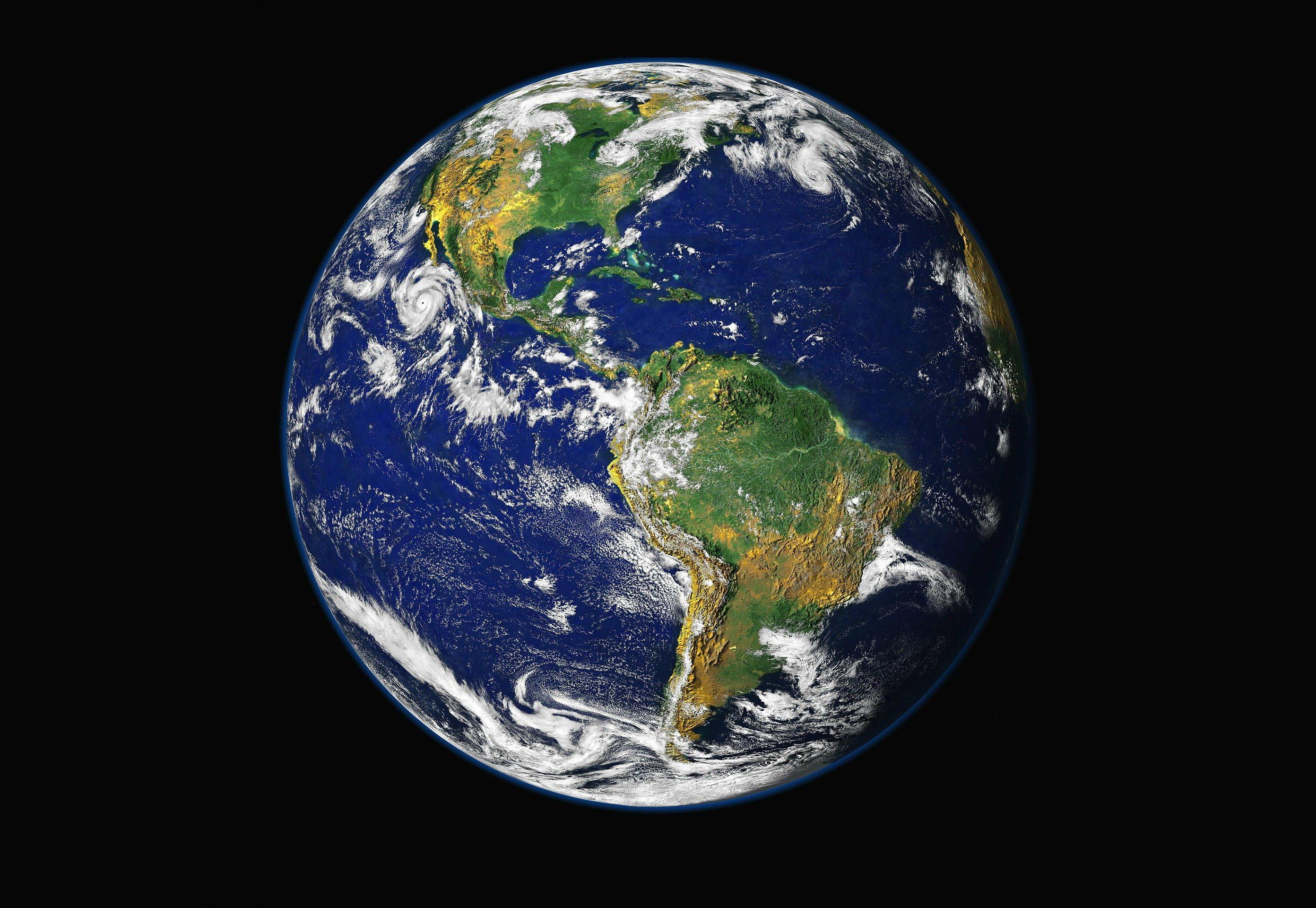 The World