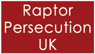 Raptor Persecution UK